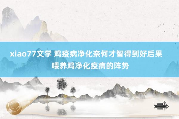 xiao77文学 鸡疫病净化奈何才智得到好后果    喂养鸡净化疫病的阵势