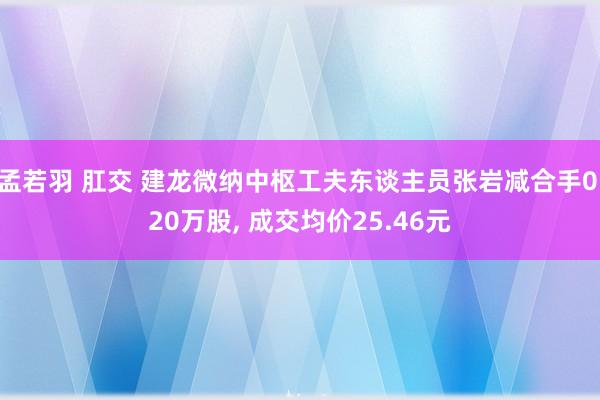 孟若羽 肛交 建龙微纳中枢工夫东谈主员张岩减合手0.20万股， 成交均价25.46元