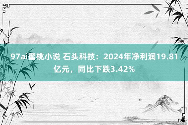 97ai蜜桃小说 石头科技：2024年净利润19.81亿元，同比下跌3.42%