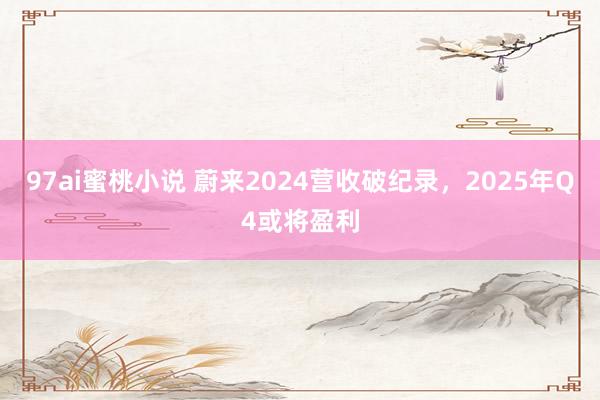97ai蜜桃小说 蔚来2024营收破纪录，2025年Q4或将盈利